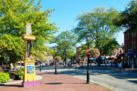 A sunny street scene with trees, brick sidewalks, hanging flower baskets, and people walking near shops and a colorful gallery sign.