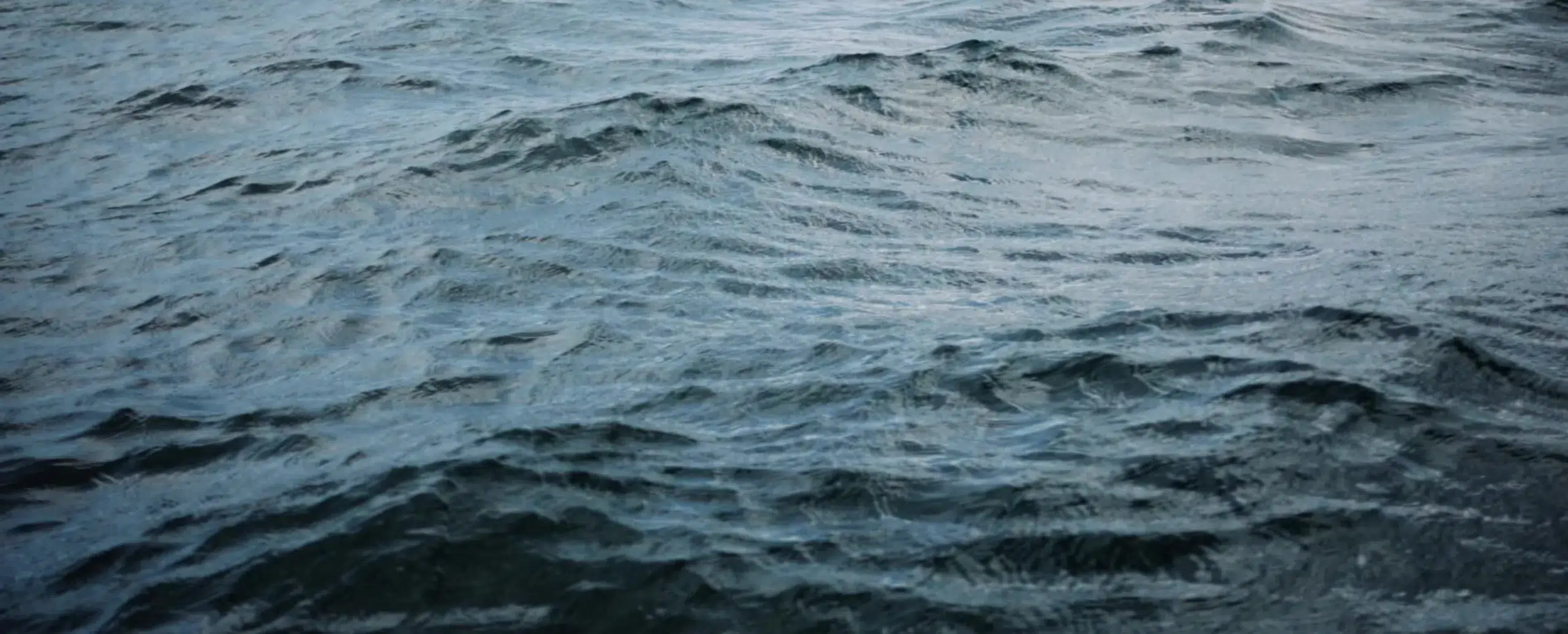 Close-up view of gentle waves and ripples on the water’s surface near Newburyport Bank, with varying shades of blue and gray reflecting natural light.