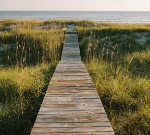A wooden boardwalk stretches through tall grass toward a sandy beach and the ocean under a clear sky.