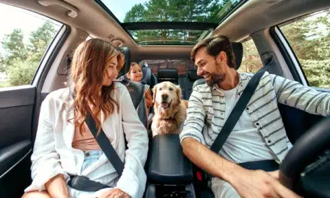 A smiling family with a young girl and a golden retriever dog sits together in a car, all wearing seatbelts, enjoying a drive on a sunny day.