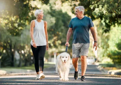 An older couple walks a fluffy white dog together on a sunny neighborhood street, smiling and enjoying the day.