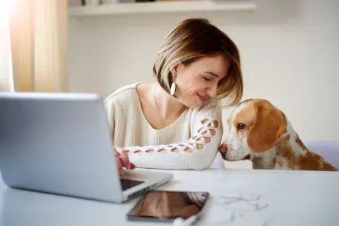 Woman smiling at a brown and white dog while working on a laptop at a white desk, with her newburyport bank account open on the screen.